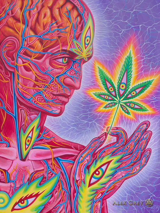 Cannabis Sutra | Alex Grey