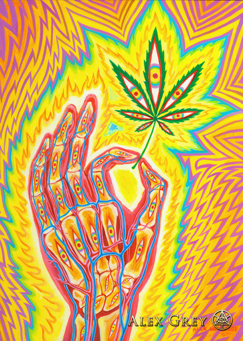 Cannabis Mudra Alex Grey