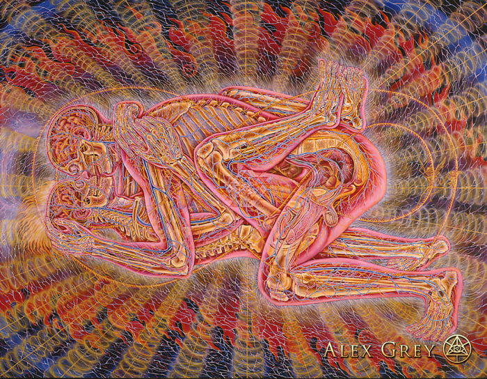 alex grey Copulating