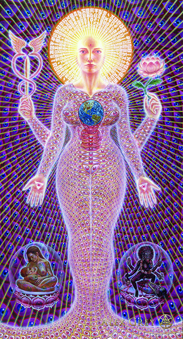 Sophia Alex Grey