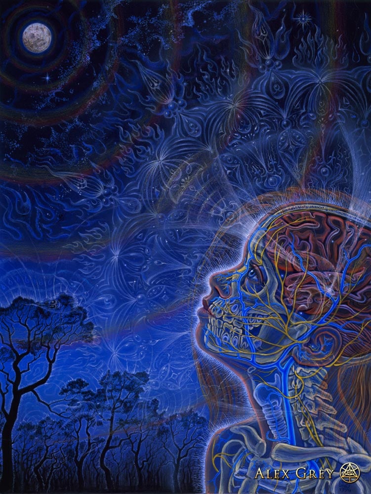 Wonder - Alex Grey