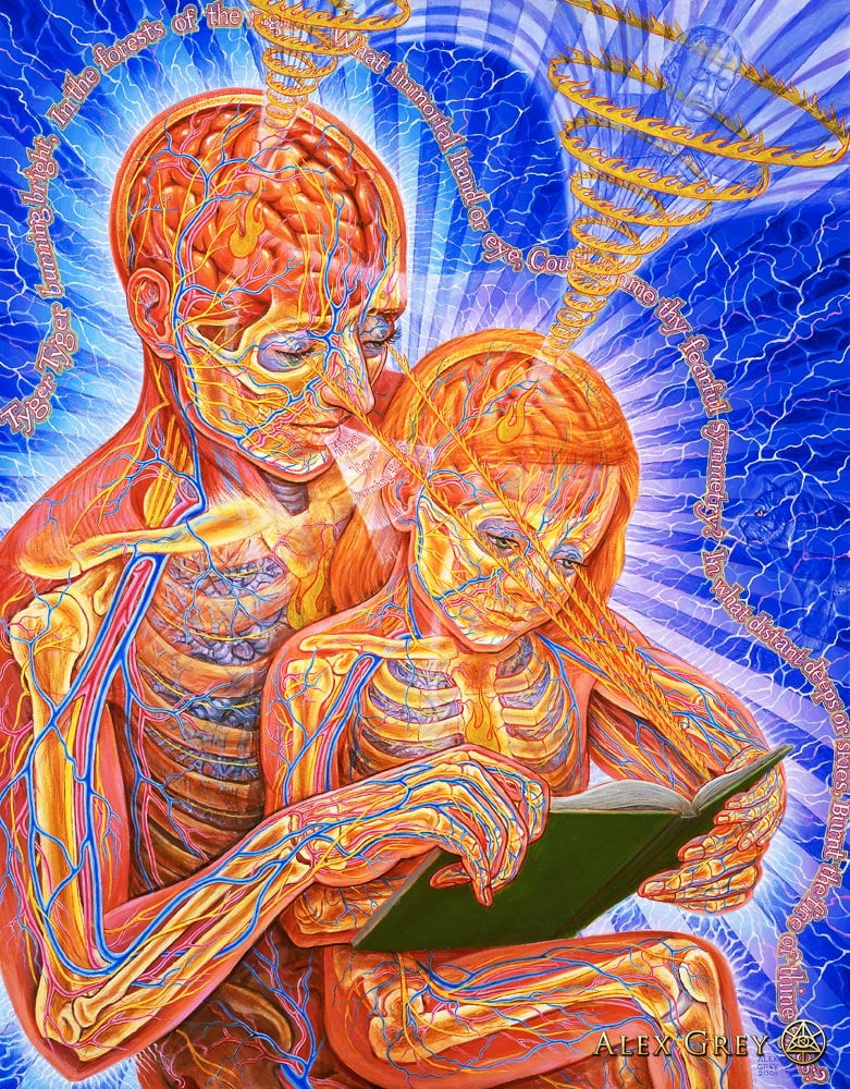 Reading - Alex Grey