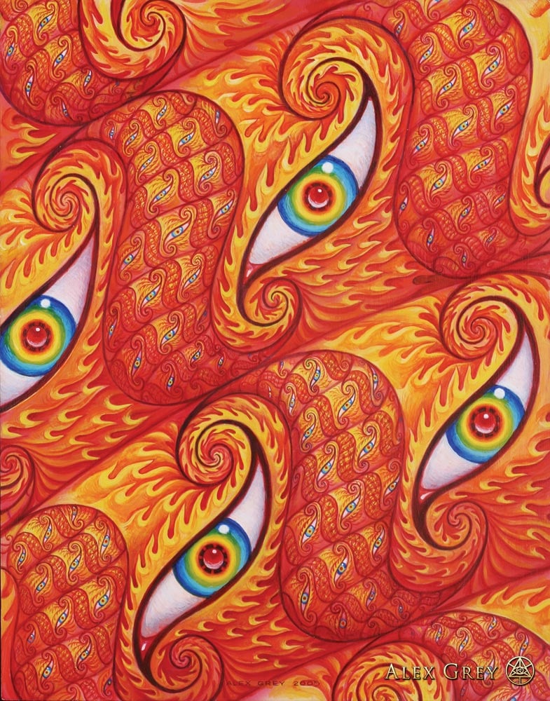 Angel Skin - Alex Grey