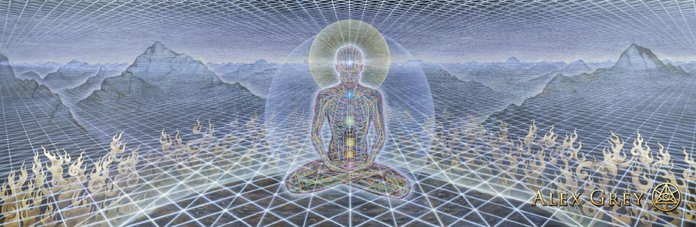 theologue alex grey embedded systems