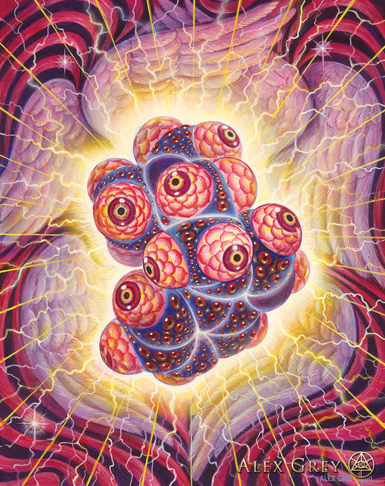 Alex Grey Eye Of Spirit Meaning St. Albert And The LSD Revelation