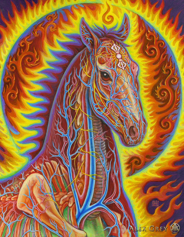 Vajra Horse - Alex Grey